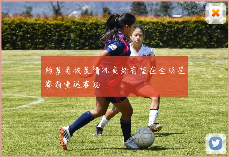 约基奇恢复情况良好有望在全明星赛前重返赛场